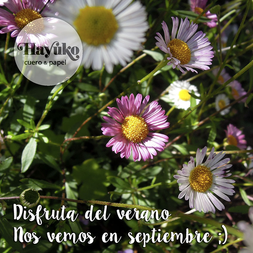 Hayuko , feliz verano, flores silvestres, margaritas
Asturias,,taller artesano, artesanal Gijon